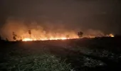 షార్ట్‌సర్క్యూట్‌తో మొక్కజొన్న చేనులలో మంటలు