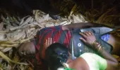 పిడిసిల్లలో గీతా కార్మికుడు మృతి.