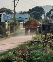 ఇష్ట రాజ్యాంగ మట్టి తరలింపు..
