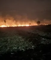 షార్ట్‌సర్క్యూట్‌తో మొక్కజొన్న చేనులలో మంటలు