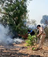 పరకాలలో ఒక్కసారిగా మంటలు