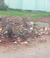 పరకాలకు పారిశుధ్య ముప్పు