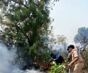పరకాలలో ఒక్కసారిగా మంటలు
