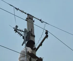 ఉపసర్పంచ్‌నే లైన్‌మ్యాన్‌!